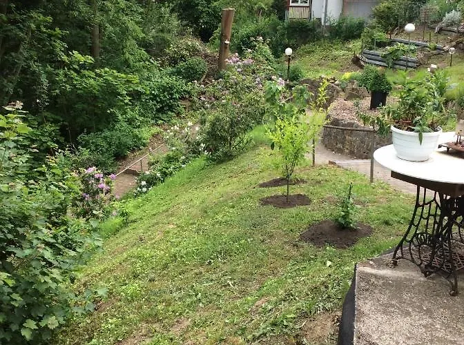 Schoene * 아이제나흐